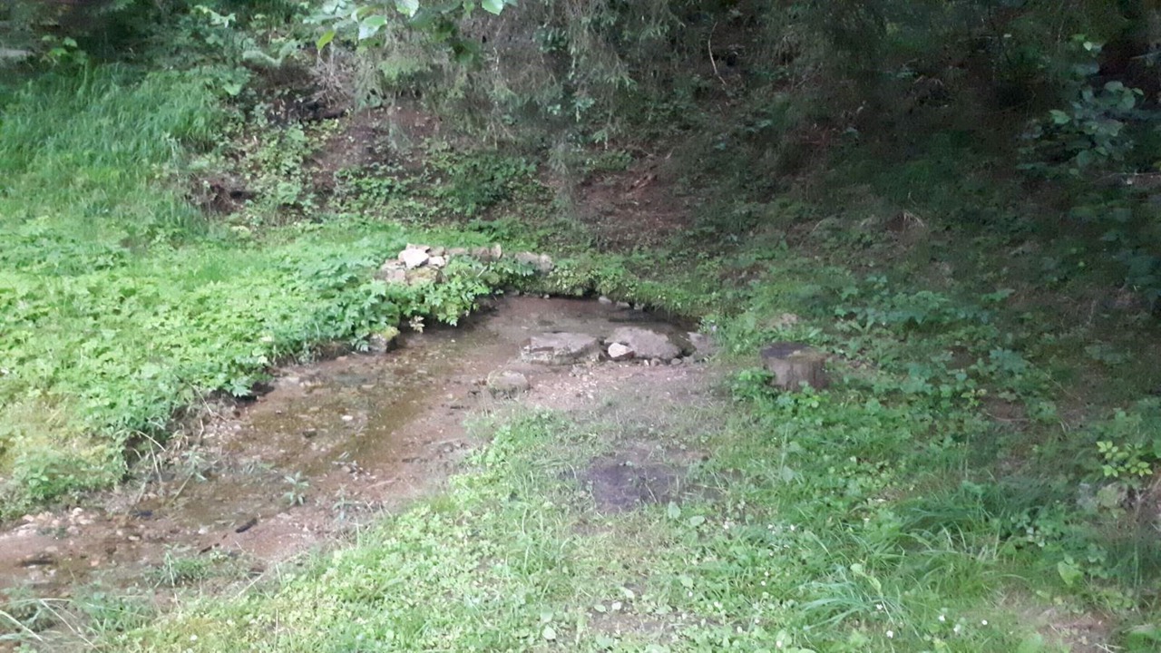 Photo of Outdoor in Ninkovici