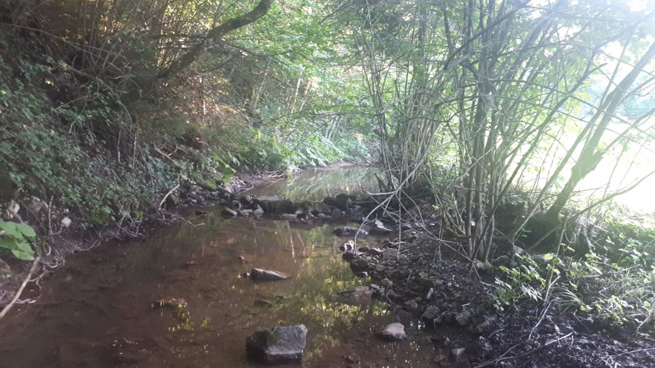 Photo of Outdoor in Ninkovici