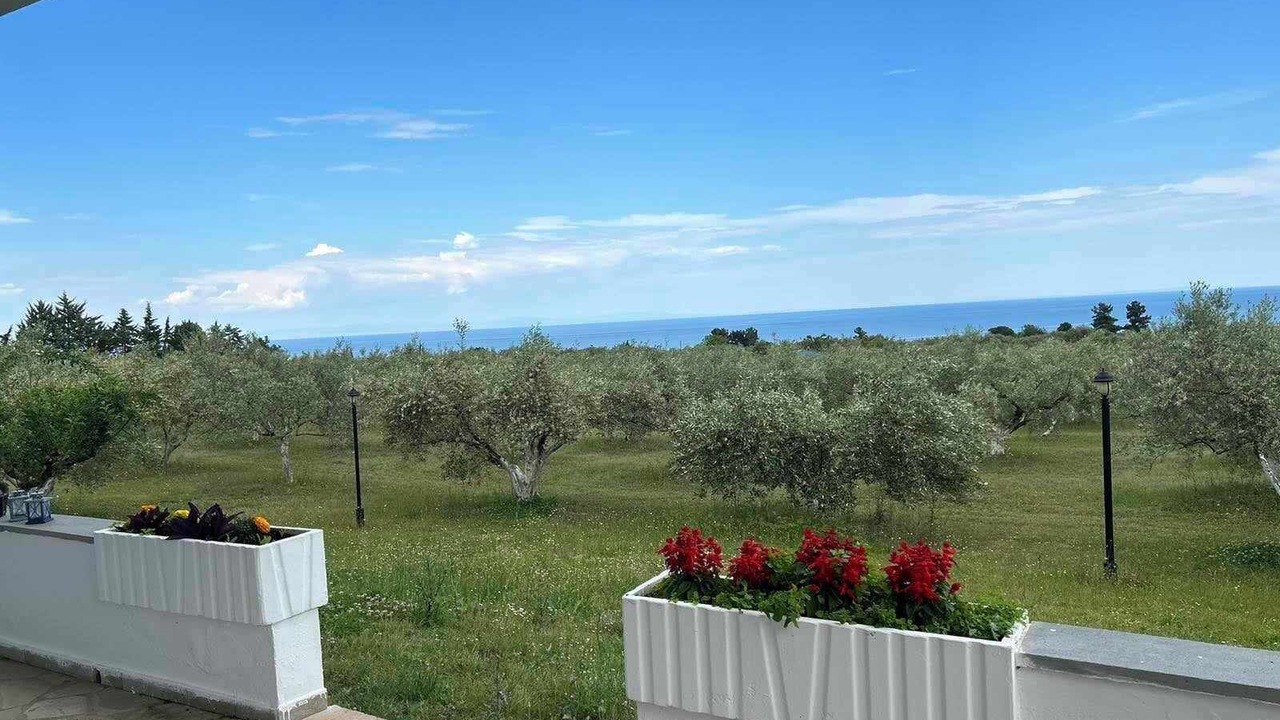 Photo of Outdoor in Anatolikos Olimpos