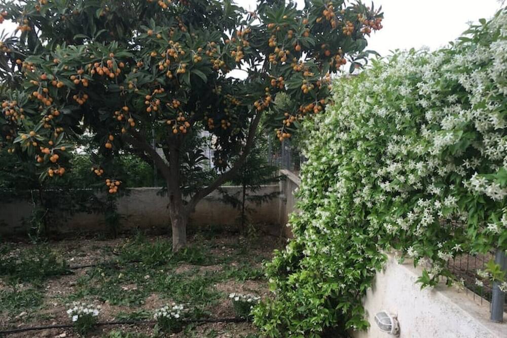 Photo of Outdoor in Egira
