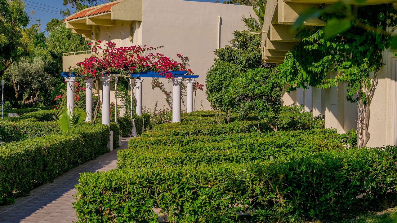 Photo of Outdoor in Ialyssos