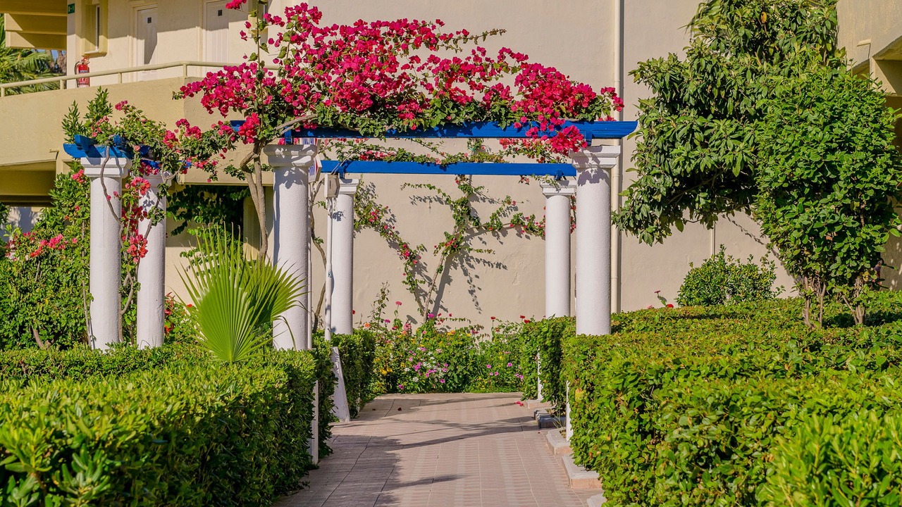 Photo of Outdoor in Ialyssos
