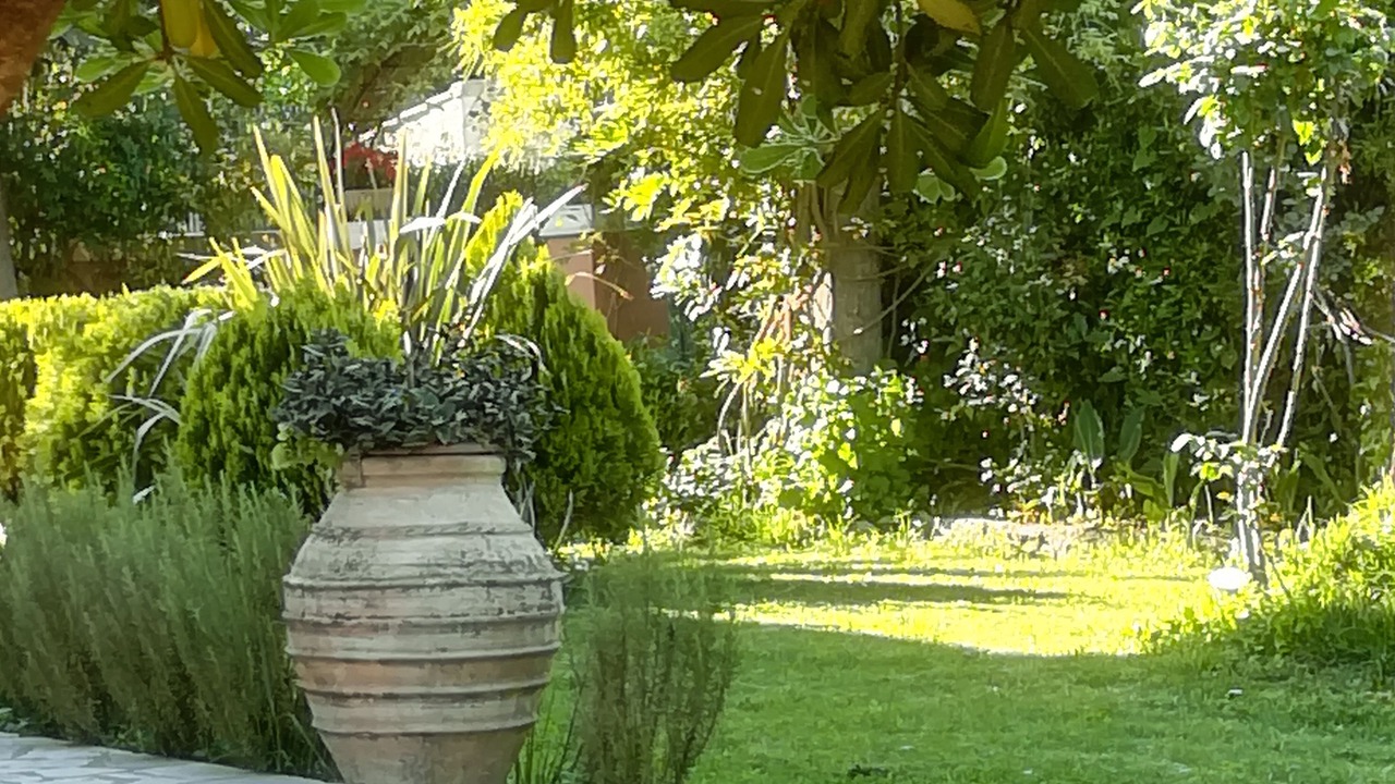 Photo of Outdoor in Dassia