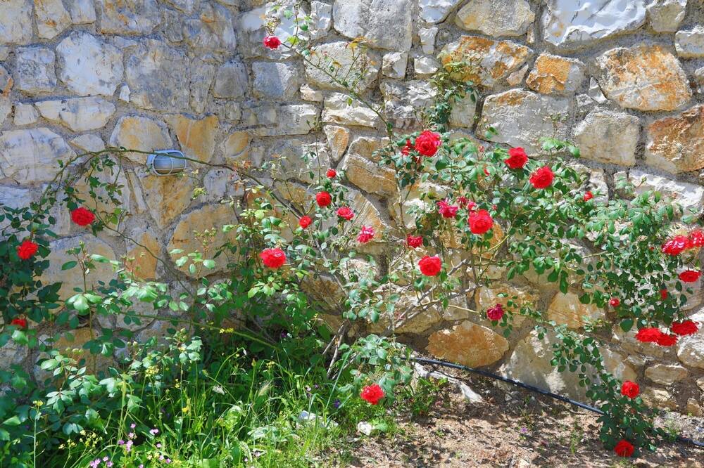 Photo of Outdoor in Agios Stefanos
