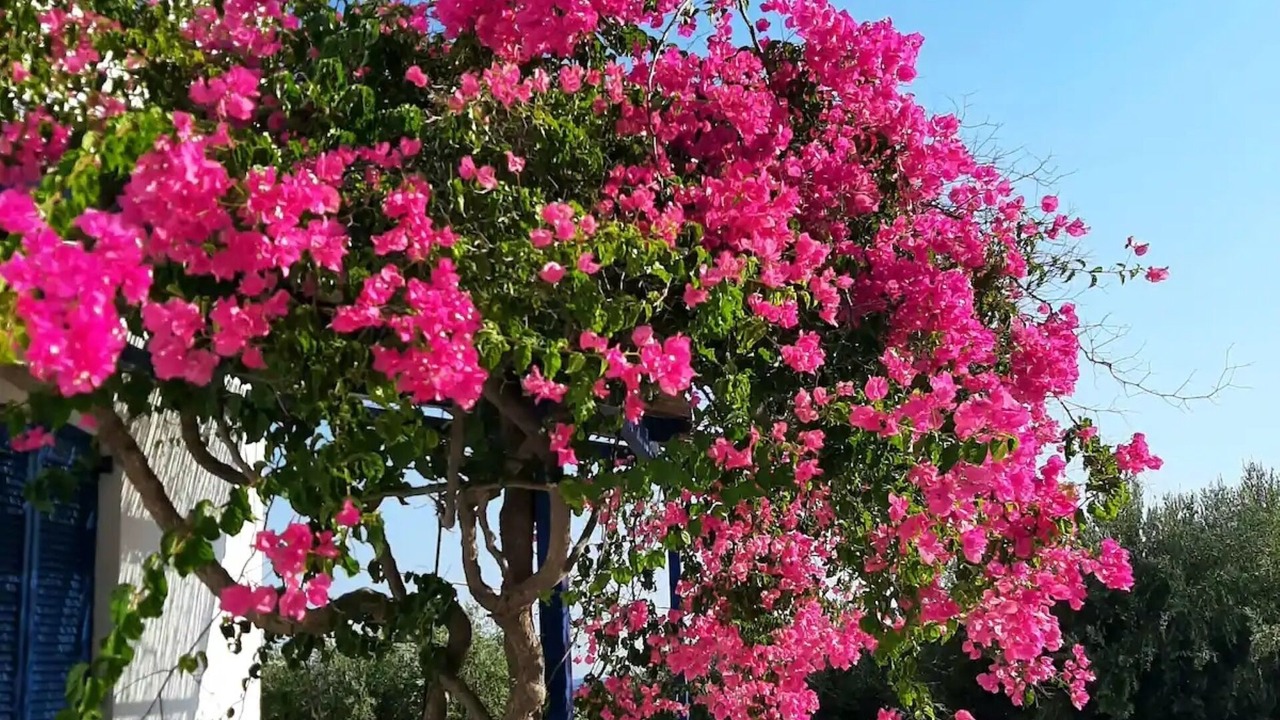 Photo of Outdoor in Leros