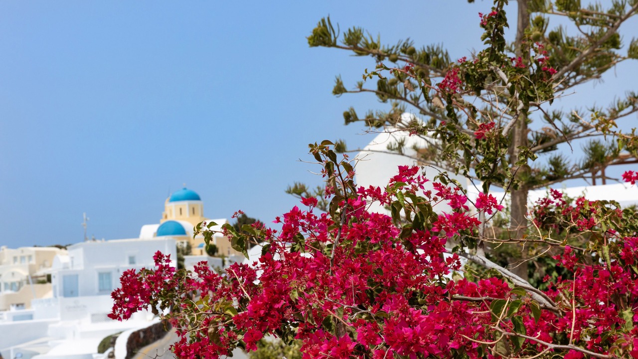 Photo of Outdoor in Oia