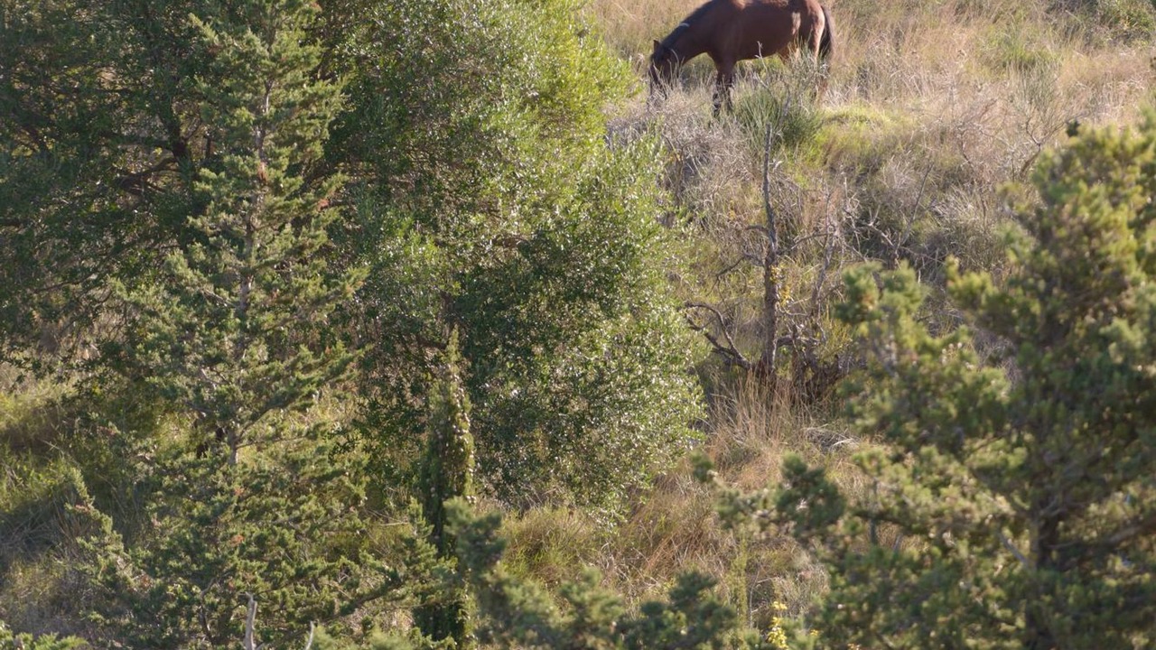 Photo of Outdoor in Dhrakata