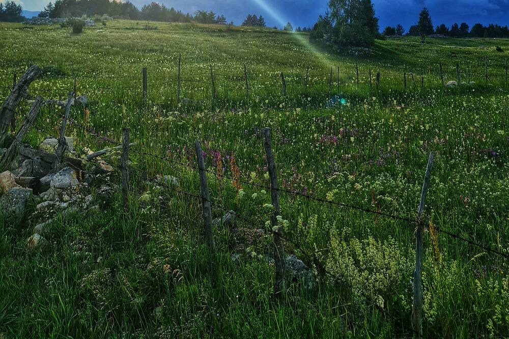 Photo of Outdoor in Zabljak