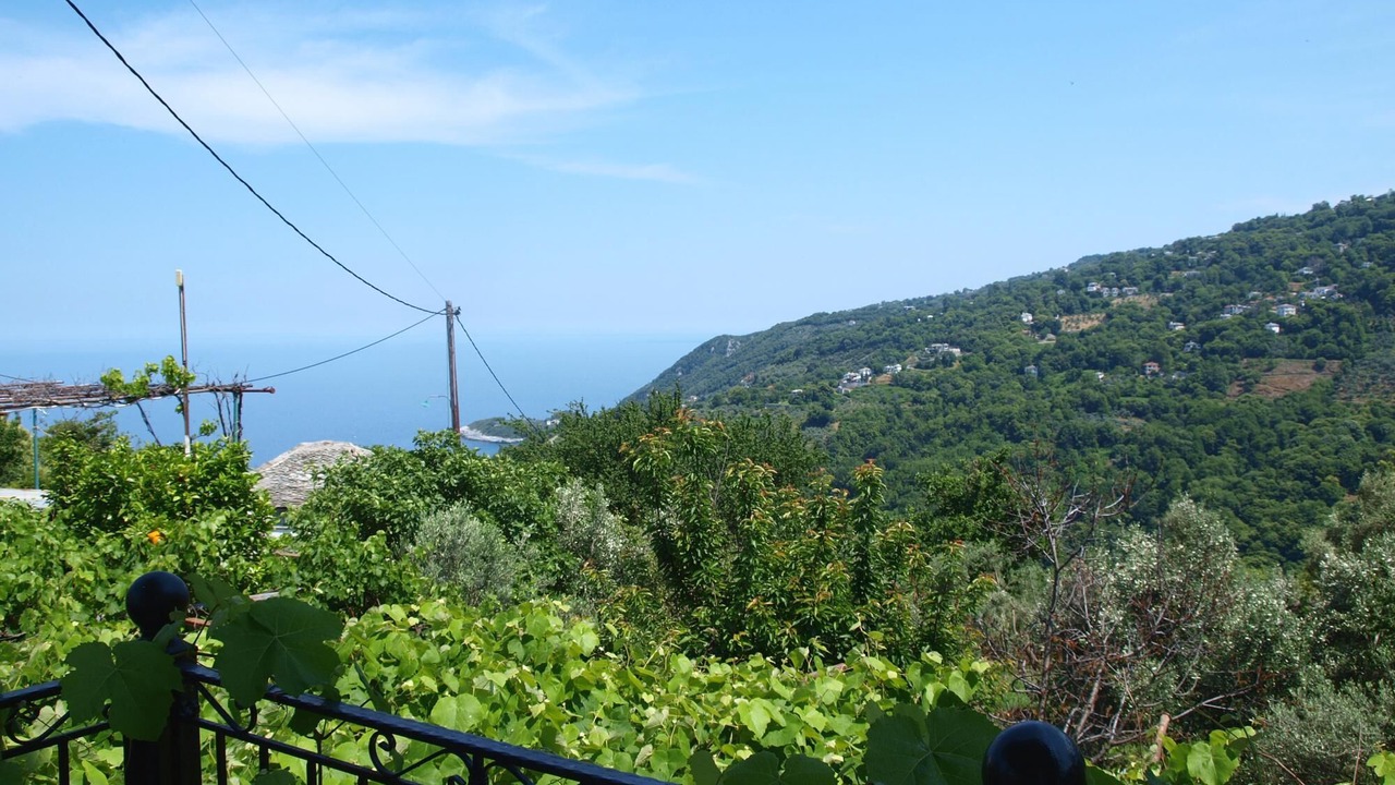 Photo of Others in Agios Dimitrios