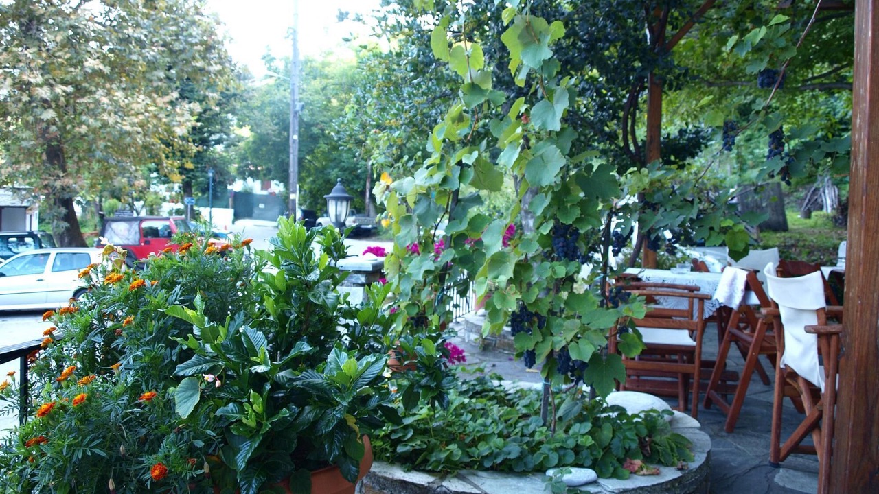 Photo of Outdoor in Kissos