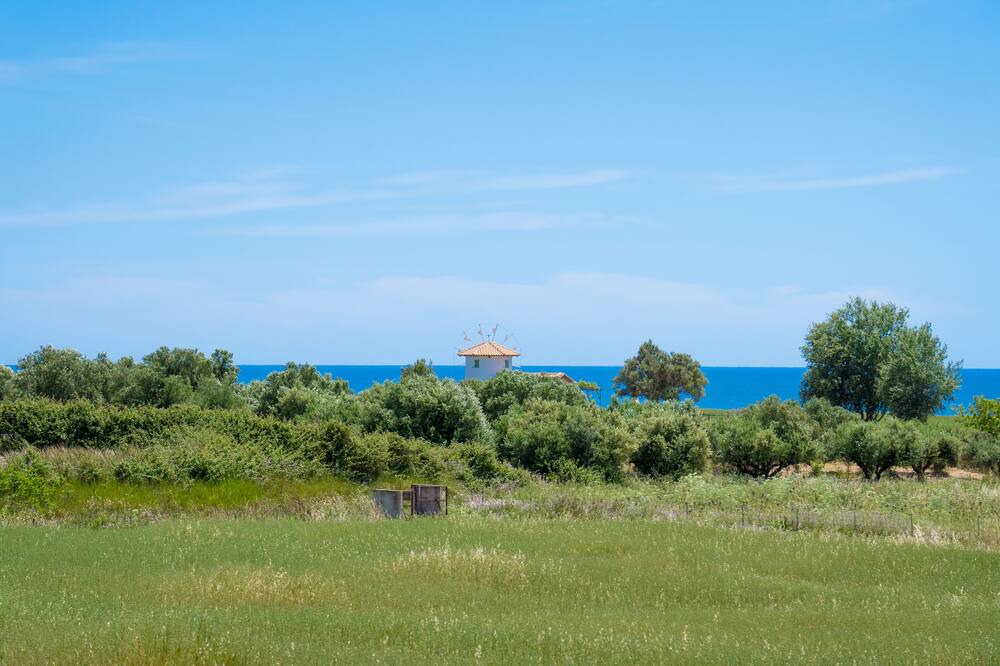 Photo of Outdoor in Kounopetra