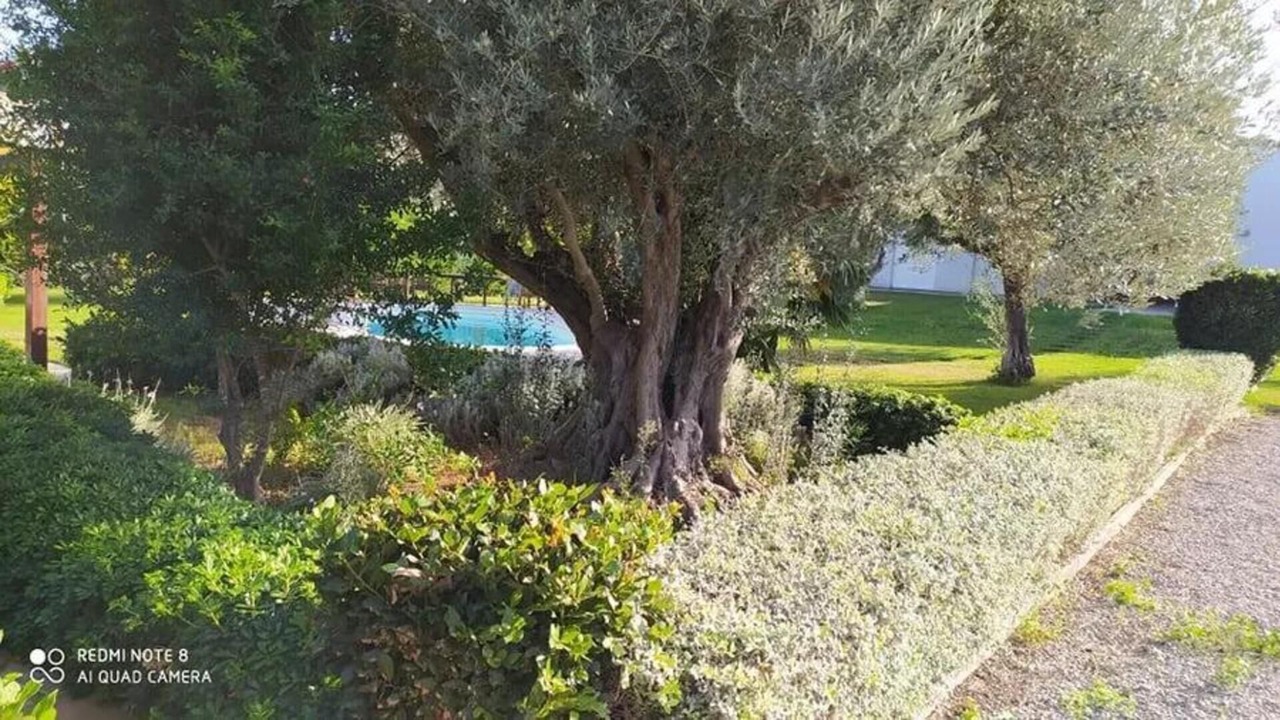 Photo of Others in Chalcis