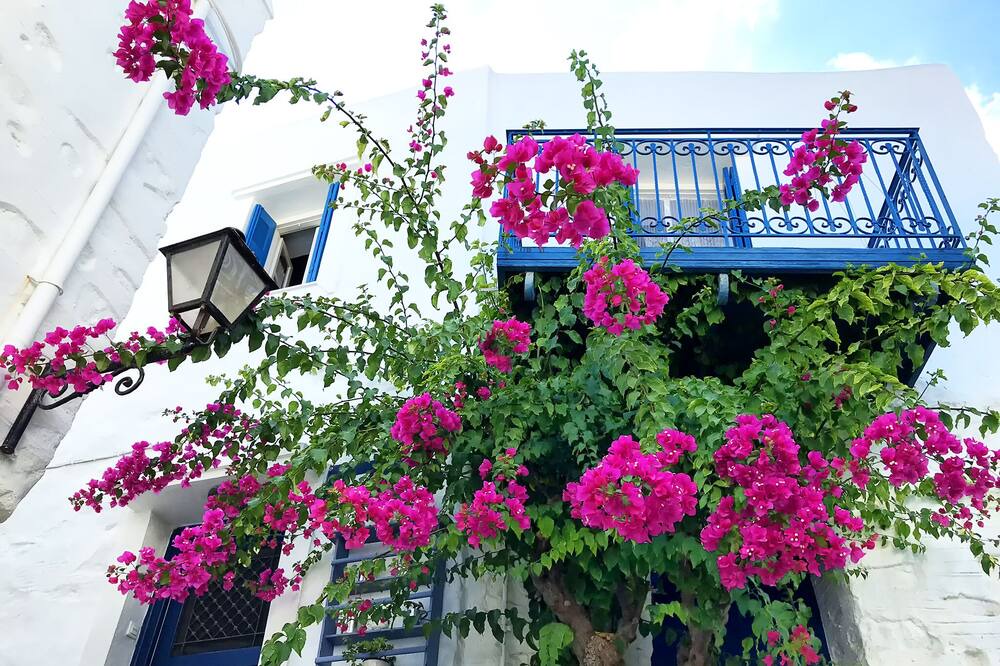 Photo of Outdoor in Ano Siros