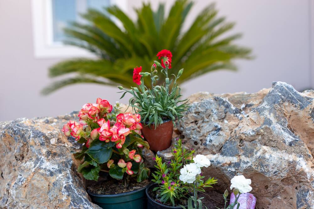 Photo of Outdoor in Gazatika