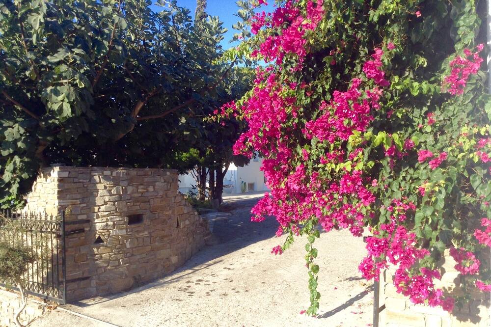 Photo of Outdoor in Krotiri