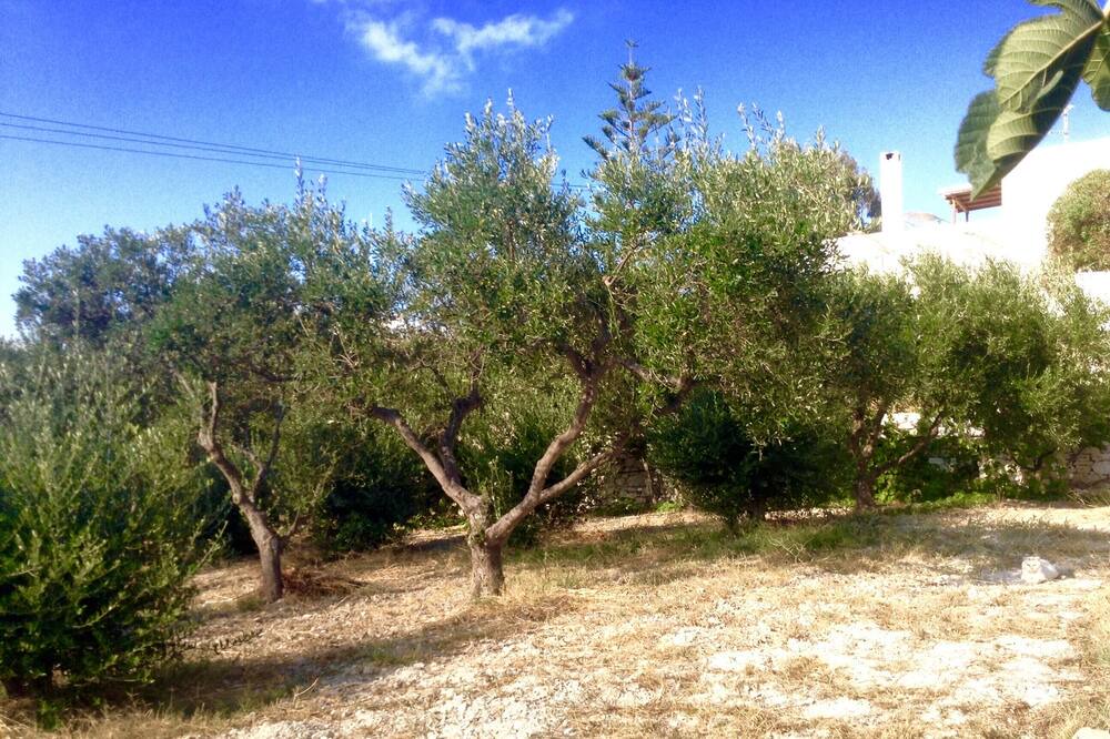Photo of Outdoor in Krotiri