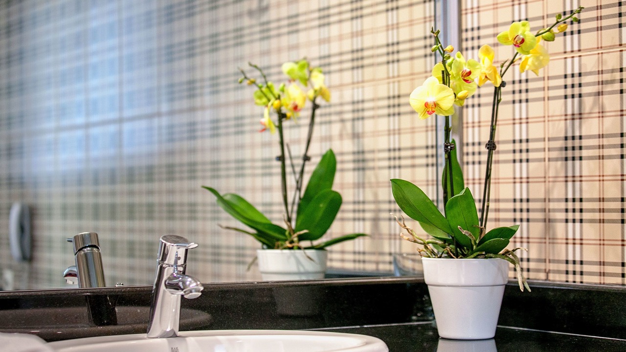 Photo of Bathroom in Mikros Gialos