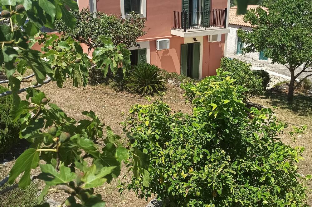Photo of Outdoor in Katsarata