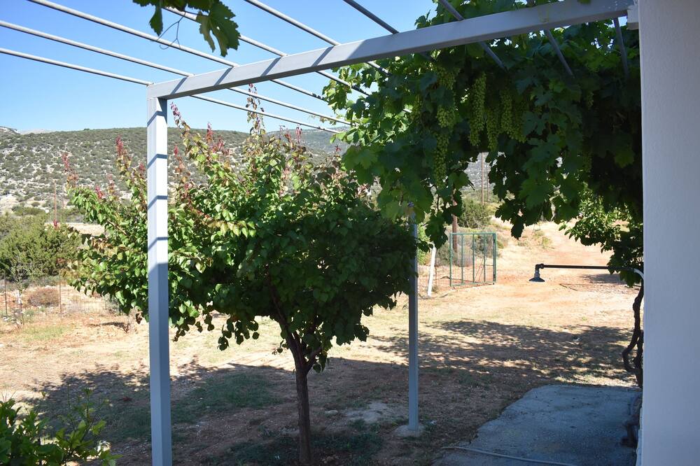 Photo of Outdoor in Naxos