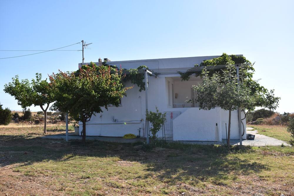 Photo of Outdoor in Naxos