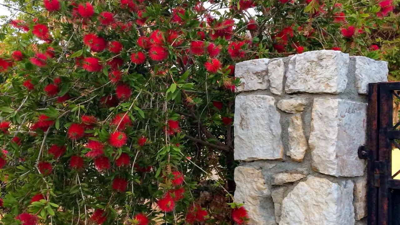Photo of Outdoor in Razata