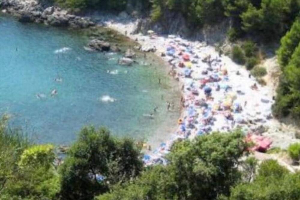 Photo of Others in Sutomore