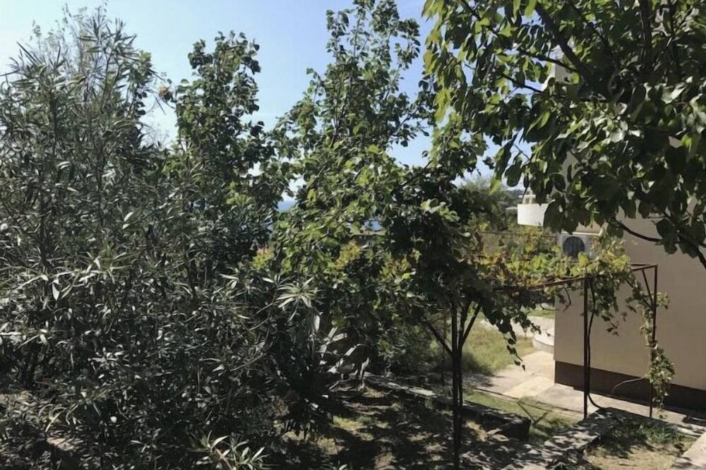 Photo of Outdoor in Sutomore