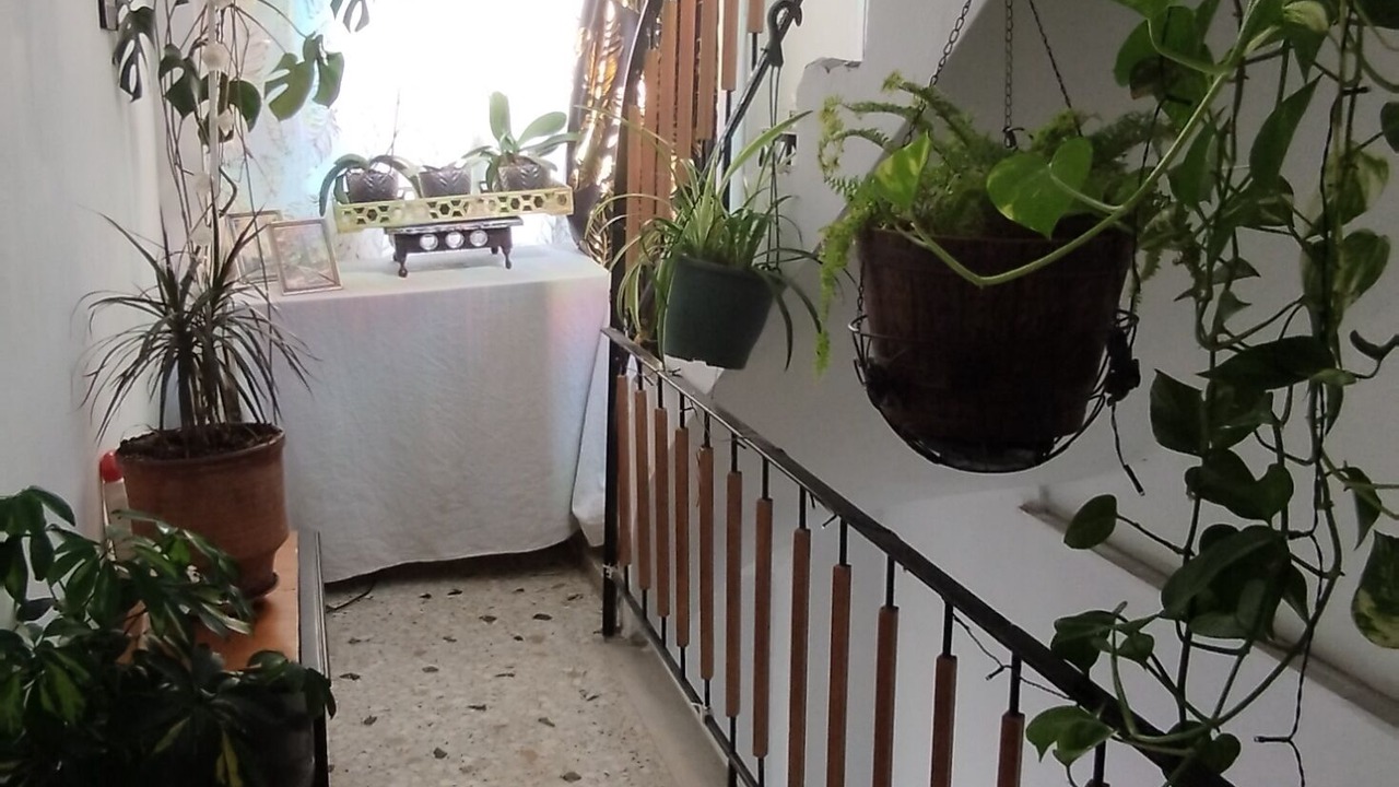 Photo of Livingroom in Athens