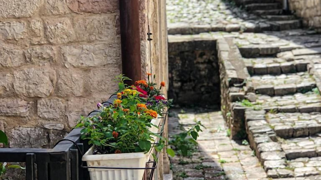 Photo of Others in Kotor Old Town