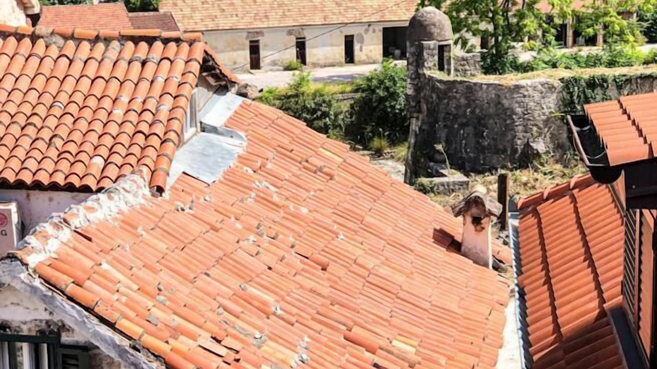 Photo of Others in Kotor Old Town