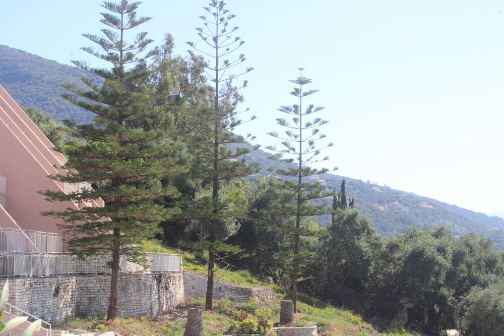 Photo of Outdoor in Barbati
