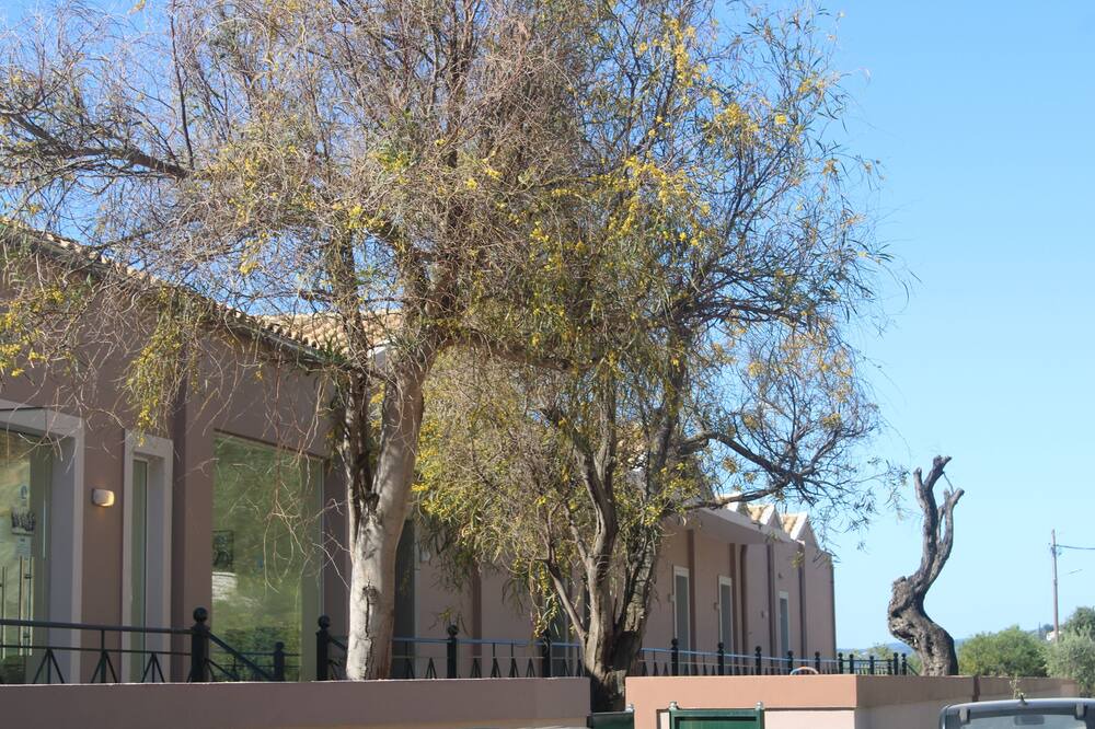 Photo of Outdoor in Barbati