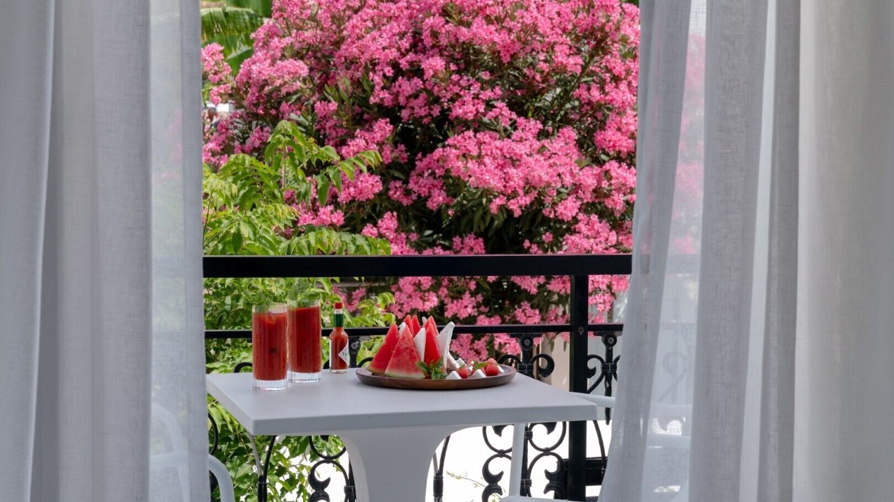 Photo of Outdoor in Grikos