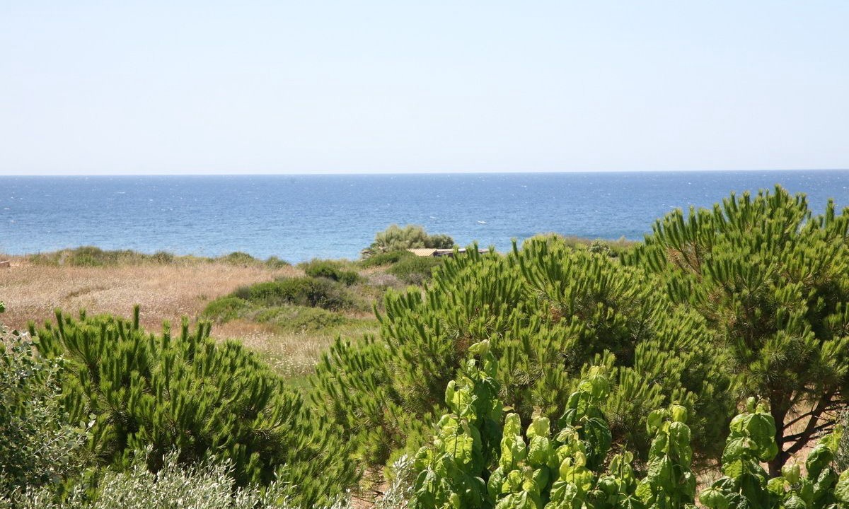 Photo of Others in Kounopetra