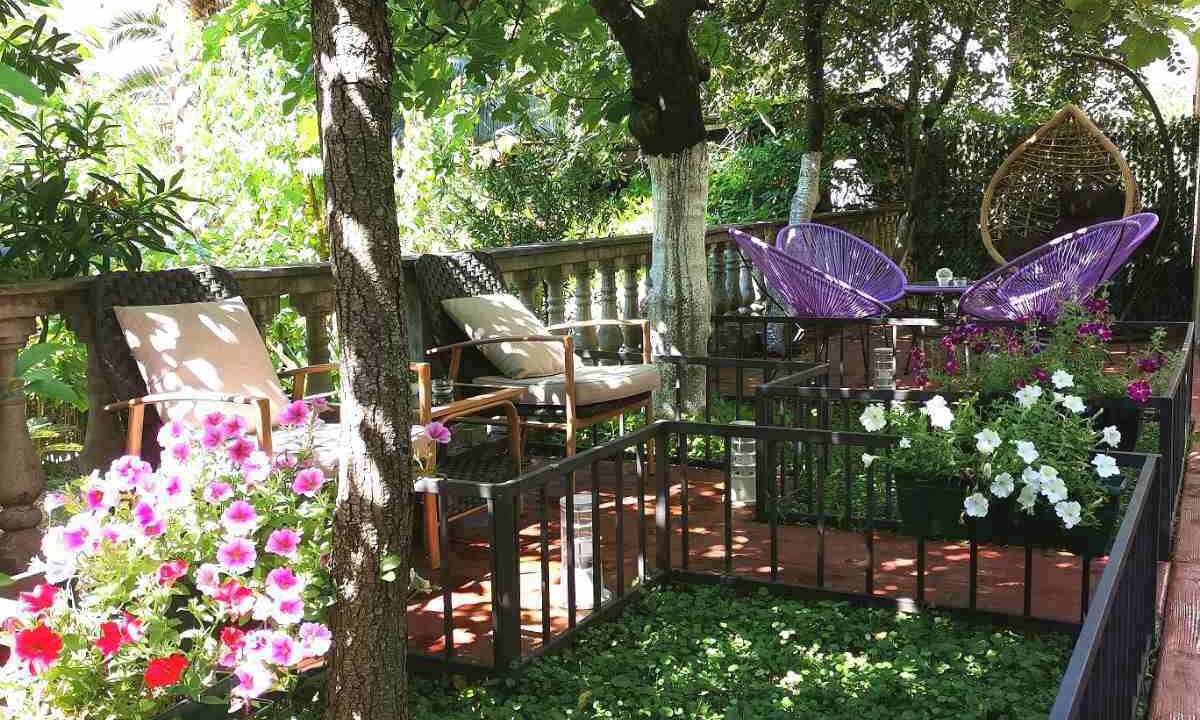 Photo of Outdoor in Dobrota