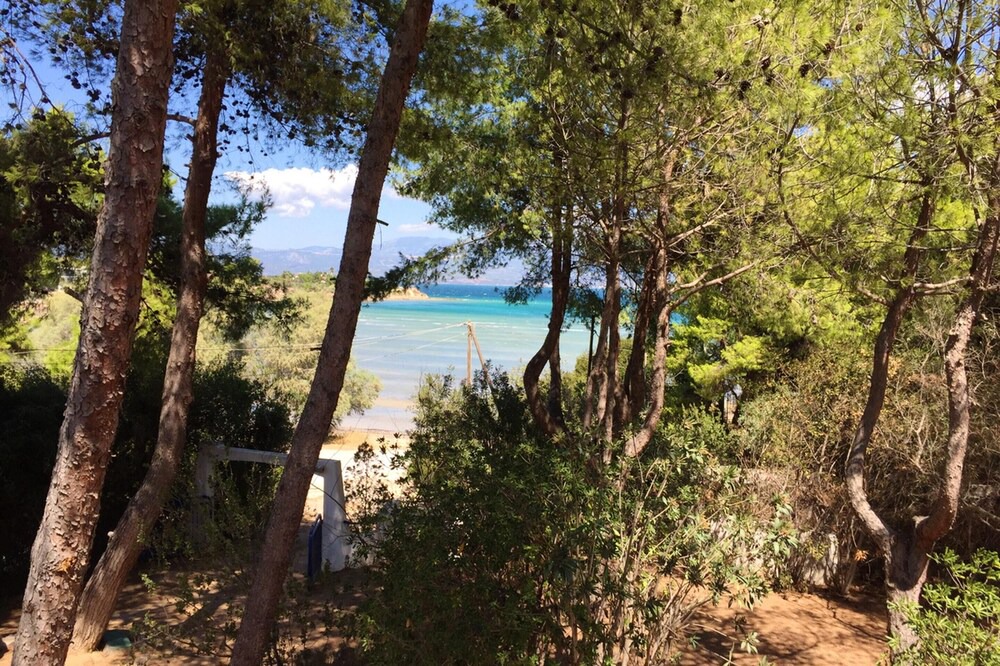 Photo of Outdoor in Chalcis