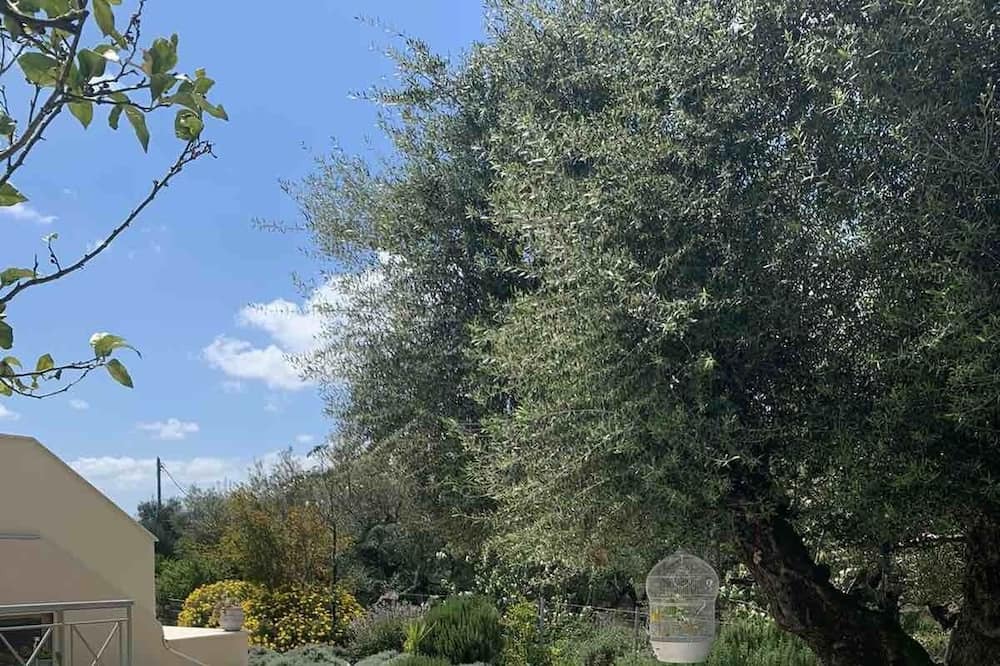 Photo of Outdoor in Tsilivi