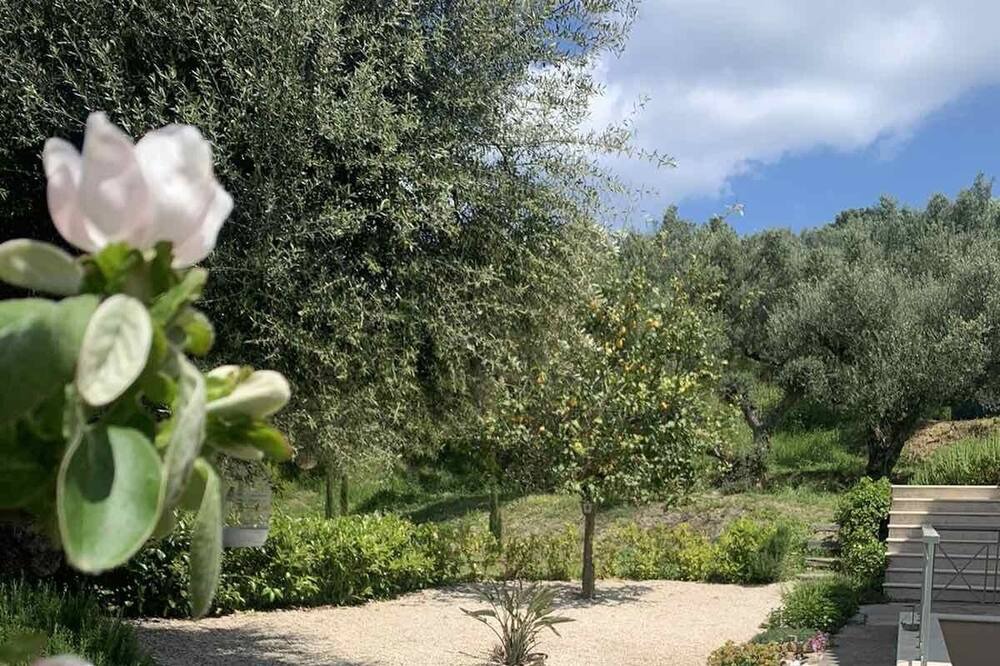 Photo of Outdoor in Tsilivi
