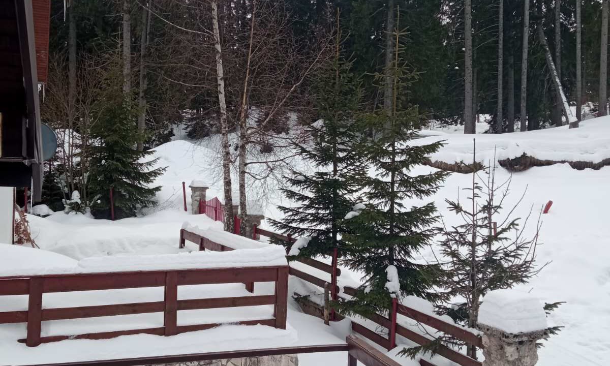 Photo of Outdoor in Zabljak
