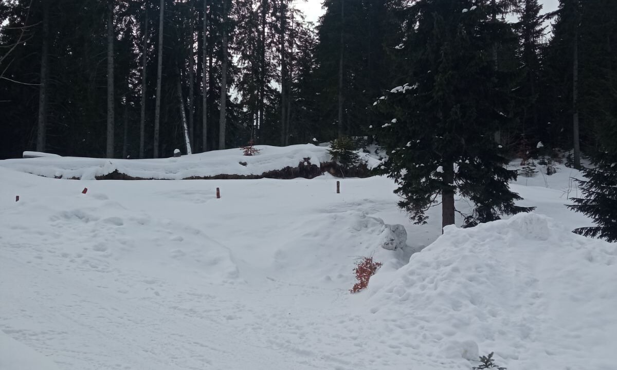Photo of Others in Zabljak