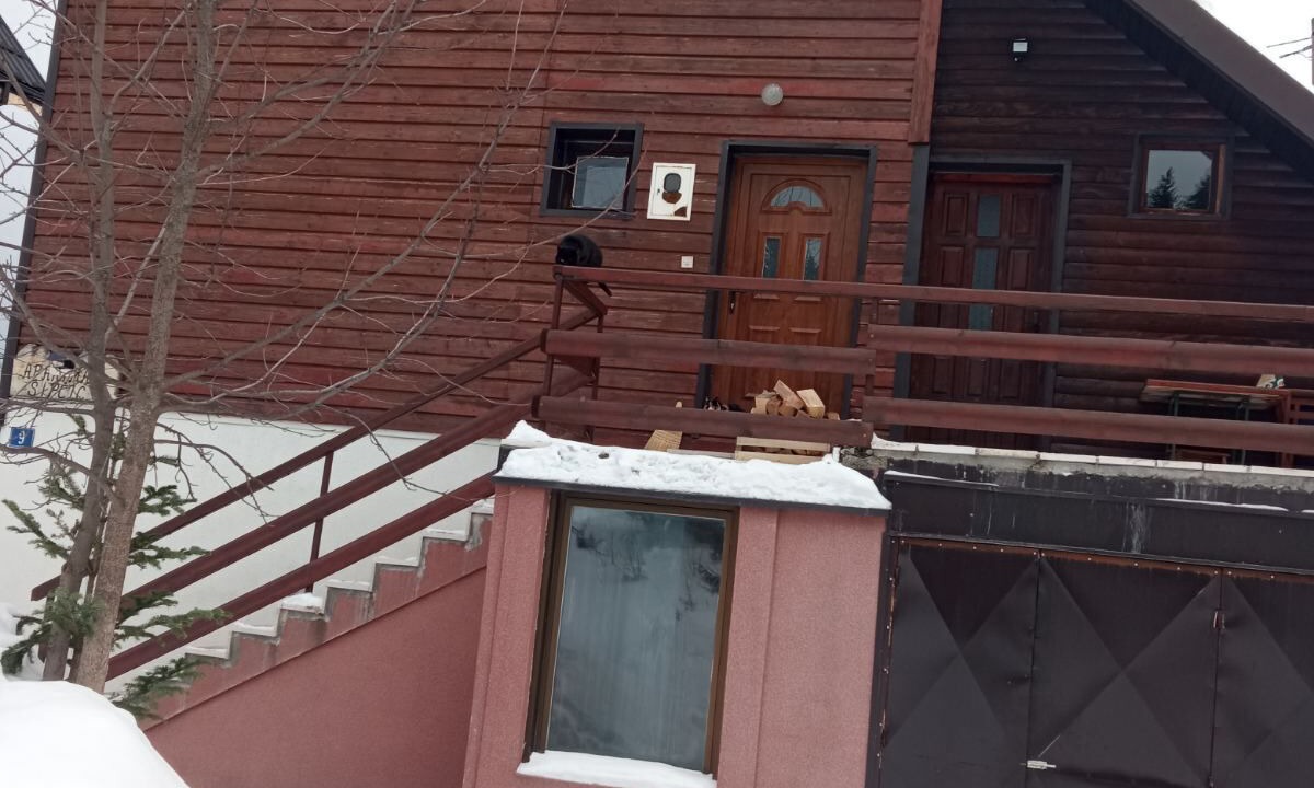 Photo of Outdoor in Zabljak