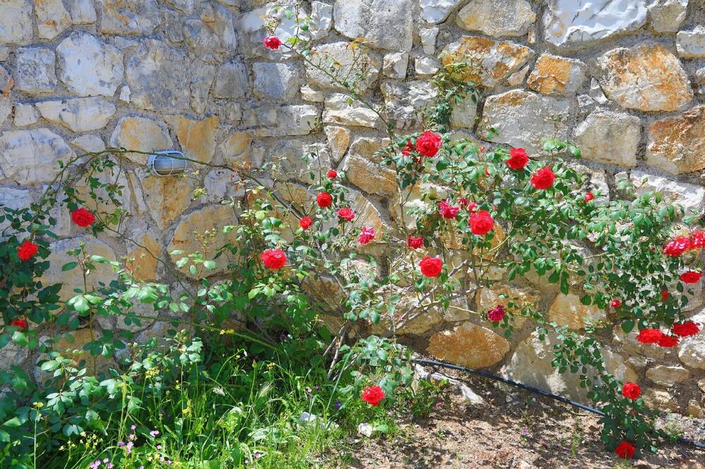 Photo of Outdoor in Agios Stefanos
