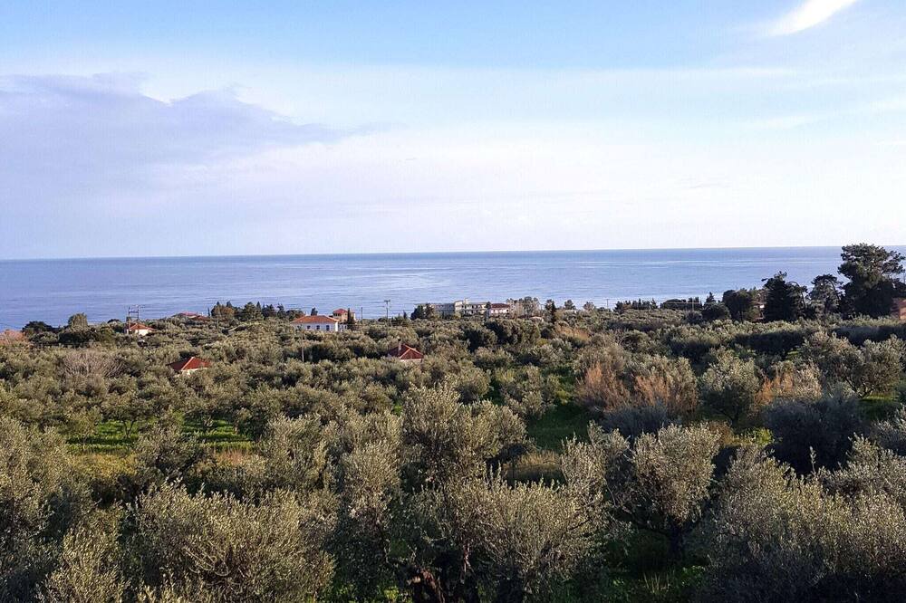 Photo of Others in Koroni
