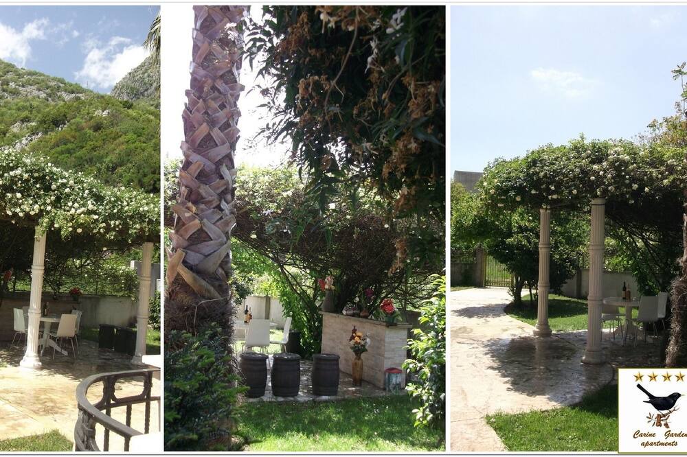 Photo of Outdoor in Risan