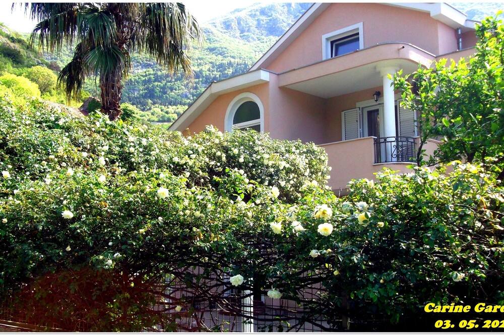 Photo of Outdoor in Risan