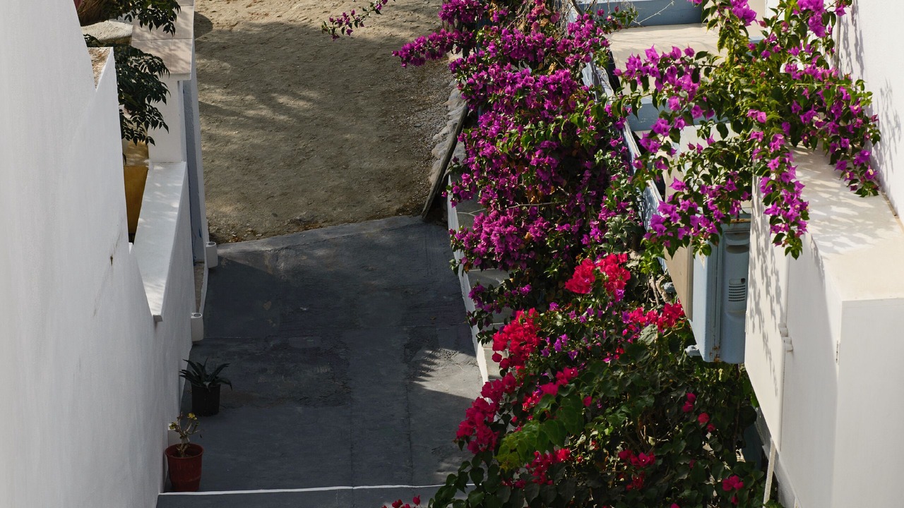 Photo of Outdoor in Folegandros