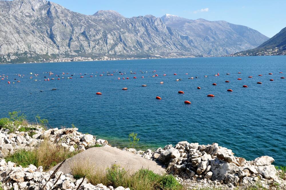Photo of Others in Krasici