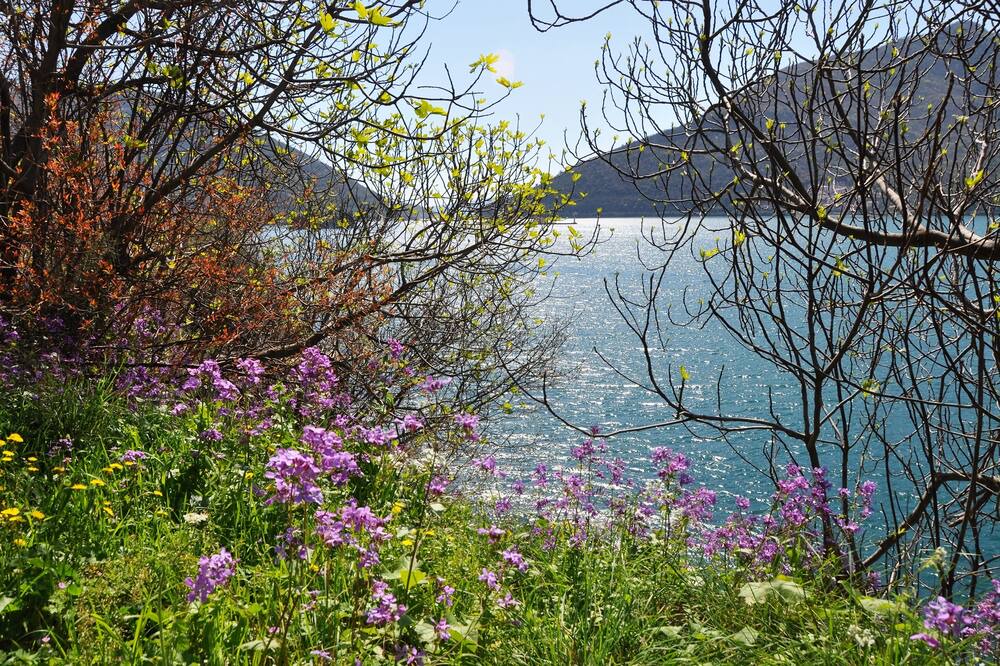 Photo of Outdoor in Krasici