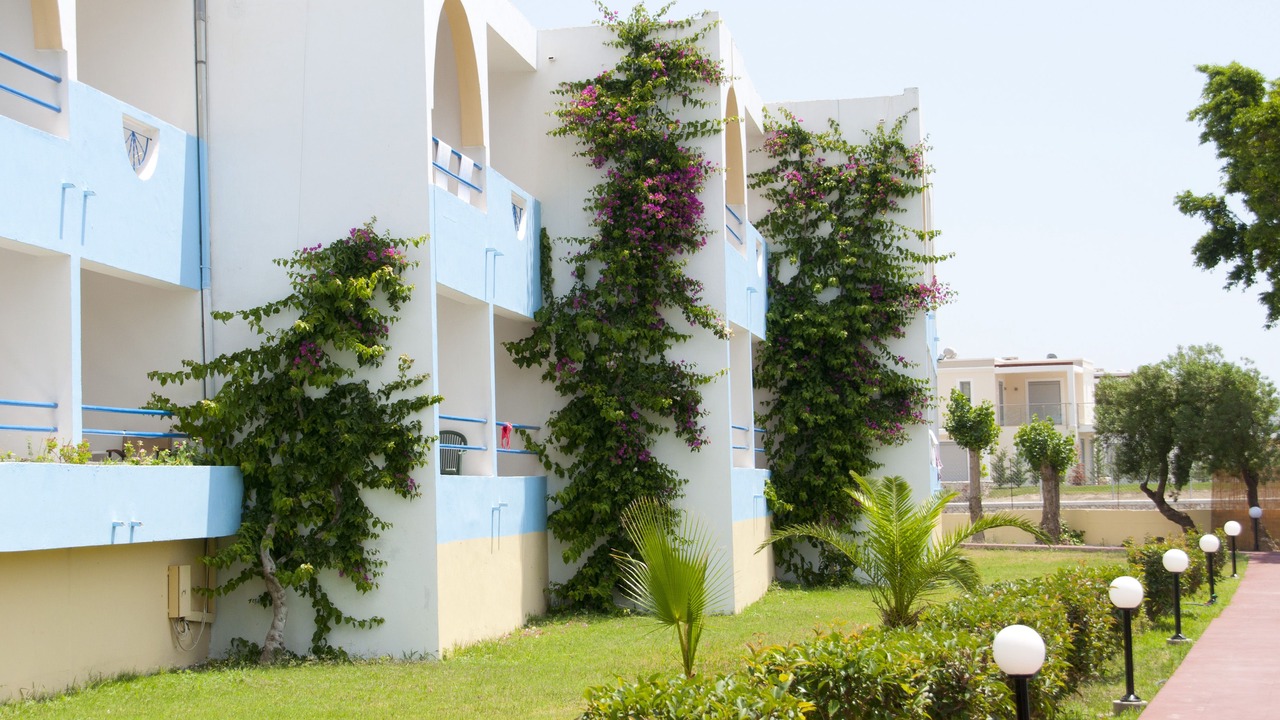 Photo of Outdoor in Lardos