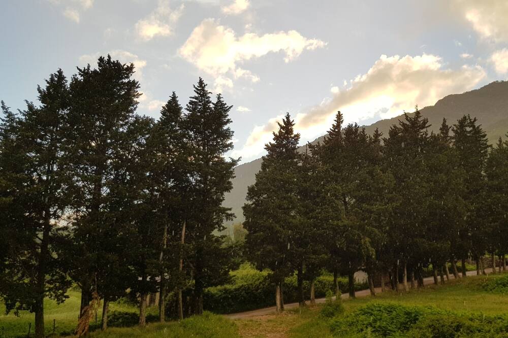 Photo of Outdoor in Grahovo